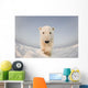 Polar bear Wall Mural