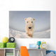 Polar bear Wall Mural