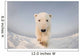 Polar bear Wall Mural