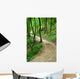 Path Forset