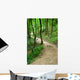 Path Forset