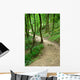 Path Forset