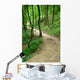 Path Forset