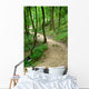 Path Forset