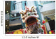 Dragon Dance Wall Decal