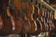 Repaired violins and violas on racks in The Sound Post repair shop Wall Mural