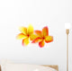 fleurs de frangipanier, fond blanc Wall Decal