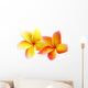 fleurs de frangipanier, fond blanc Wall Decal