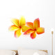 fleurs de frangipanier, fond blanc Wall Decal