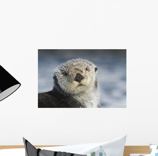 Sea Otter Wall Mural