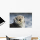 Sea Otter Wall Mural