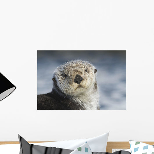 Sea Otter Wall Mural