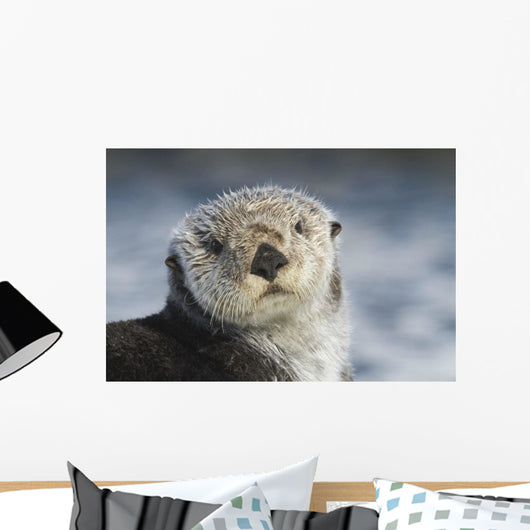 Sea Otter Wall Mural