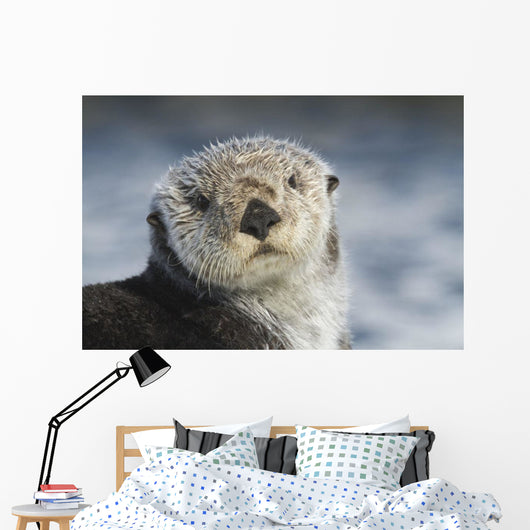 Sea Otter Wall Mural