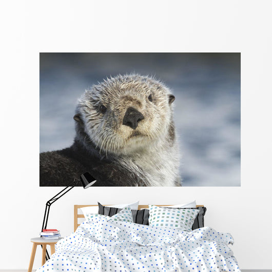 Sea Otter Wall Mural