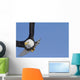 Bald eagle Wall Mural