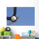 Bald eagle Wall Mural