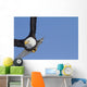 Bald eagle Wall Mural
