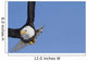 Bald eagle Wall Mural