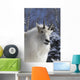 Adult Mountain goat Female Southcentral Alaska Winter Goat Wall Mural