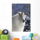 Adult Mountain goat Female Southcentral Alaska Winter Goat Wall Mural