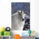 Adult Mountain goat Female Southcentral Alaska Winter Goat Wall Mural