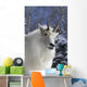 Adult Mountain goat Female Southcentral Alaska Winter Goat Wall Mural