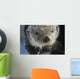 Sea Otter Wall Mural