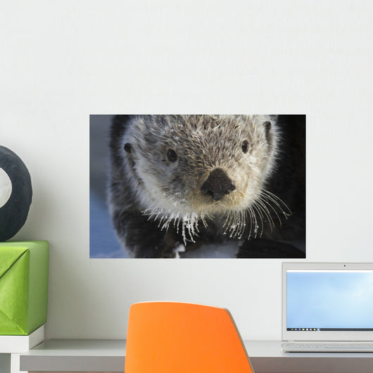 Sea Otter Wall Mural