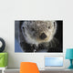 Sea Otter Wall Mural