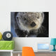 Sea Otter Wall Mural