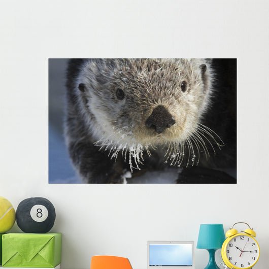 Sea Otter Wall Mural