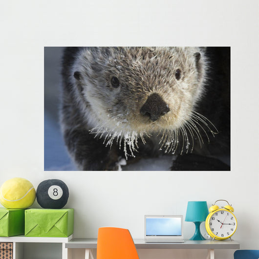 Sea Otter Wall Mural