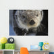 Sea Otter Wall Mural