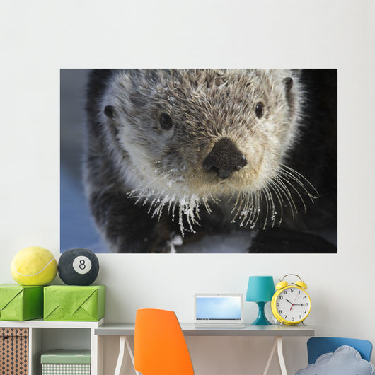 Sea Otter Wall Mural