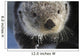 Sea Otter Wall Mural