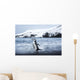 Chinstrap Penguin walking on black volcanic beach on Deception Island Wall Mural