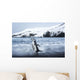 Chinstrap Penguin walking on black volcanic beach on Deception Island Wall Mural