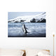 Chinstrap Penguin walking on black volcanic beach on Deception Island Wall Mural