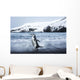 Chinstrap Penguin walking on black volcanic beach on Deception Island Wall Mural