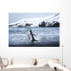 Chinstrap Penguin walking on black volcanic beach on Deception Island Wall Mural