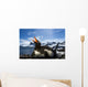 Flash illuminated portrait of Gentoo Penguin on nest Wall Mural