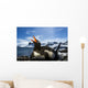 Flash illuminated portrait of Gentoo Penguin on nest Wall Mural