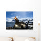 Flash illuminated portrait of Gentoo Penguin on nest Wall Mural