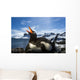 Flash illuminated portrait of Gentoo Penguin on nest Wall Mural