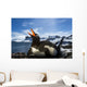 Flash illuminated portrait of Gentoo Penguin on nest Wall Mural