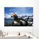 Flash illuminated portrait of Gentoo Penguin on nest Wall Mural
