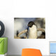 Close-up of Adelie Penguin standing by nest Wall Mural