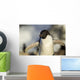 Close-up of Adelie Penguin standing by nest Wall Mural