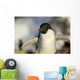 Close-up of Adelie Penguin standing by nest Wall Mural